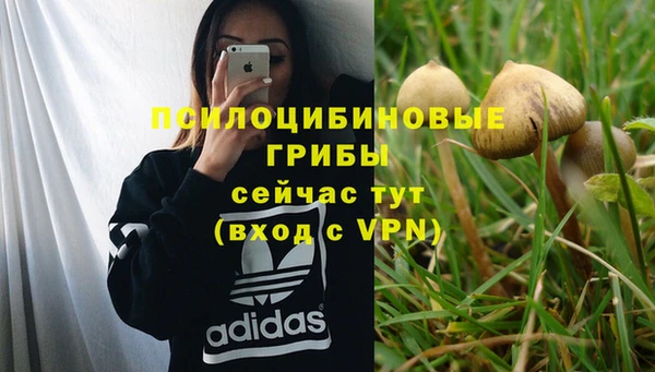 прущая мука Горнозаводск