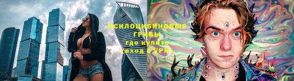 стафф Горно-Алтайск